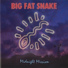 Big Fat Snake