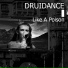 Druidance