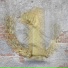 Medici