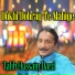 Talib Hussain Dard