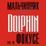 Dolfin