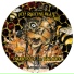 DJ Hammond, Jason Little