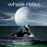 Ambient Whale