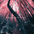 Rest & Relax Nature Sounds Artists