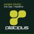 Adam Dived