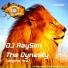 Dj Raysim