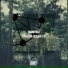 Dantiez, King Saaidi, Paul Cart