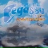 grupo Pegasso