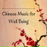 Traditional Chinese Music Academy