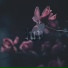 NIKXR