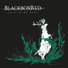 BlackboxRed