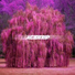 Acidtrip
