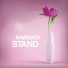 Rawback