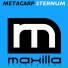 Metacarp