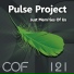 Pulse Project