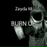 Zeyda M