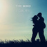 Tim Bird