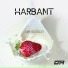 Harbant