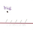 Bug