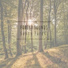 Forest Sounds