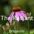 Drogoville