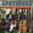 The Spotnicks