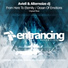Aviell & Alternoize Dj