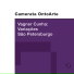 Vagner Cunha, Camerata Ontoarte, Artur Elias