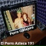 El Perro Azteca 191