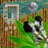 The Monkey's THC feat. Vibox