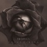 Tropics-Popup-Cinema(muzofon.com)