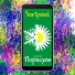 Sortymel