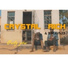 Crystal Rich, Ti Gonzi