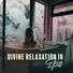 Relaxing Spa Music Zone