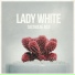 Lady White