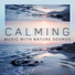 Relaxation Music Guru
