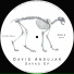 David Andujar