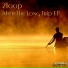 2loop