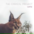 The Caracal Project