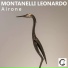 Montanelli Leonardo