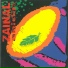 Zainal Abidin