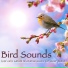 Bird Songs Nature Music Specialists