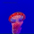 Deep01
