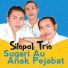 Silopak Trio