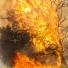 Inter Arma