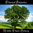 Achille-Claude Debussy, Claude Debussy
