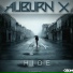 Auburn X