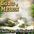 Lobo Y Melón