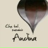Andina