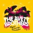 The Avett Brothers